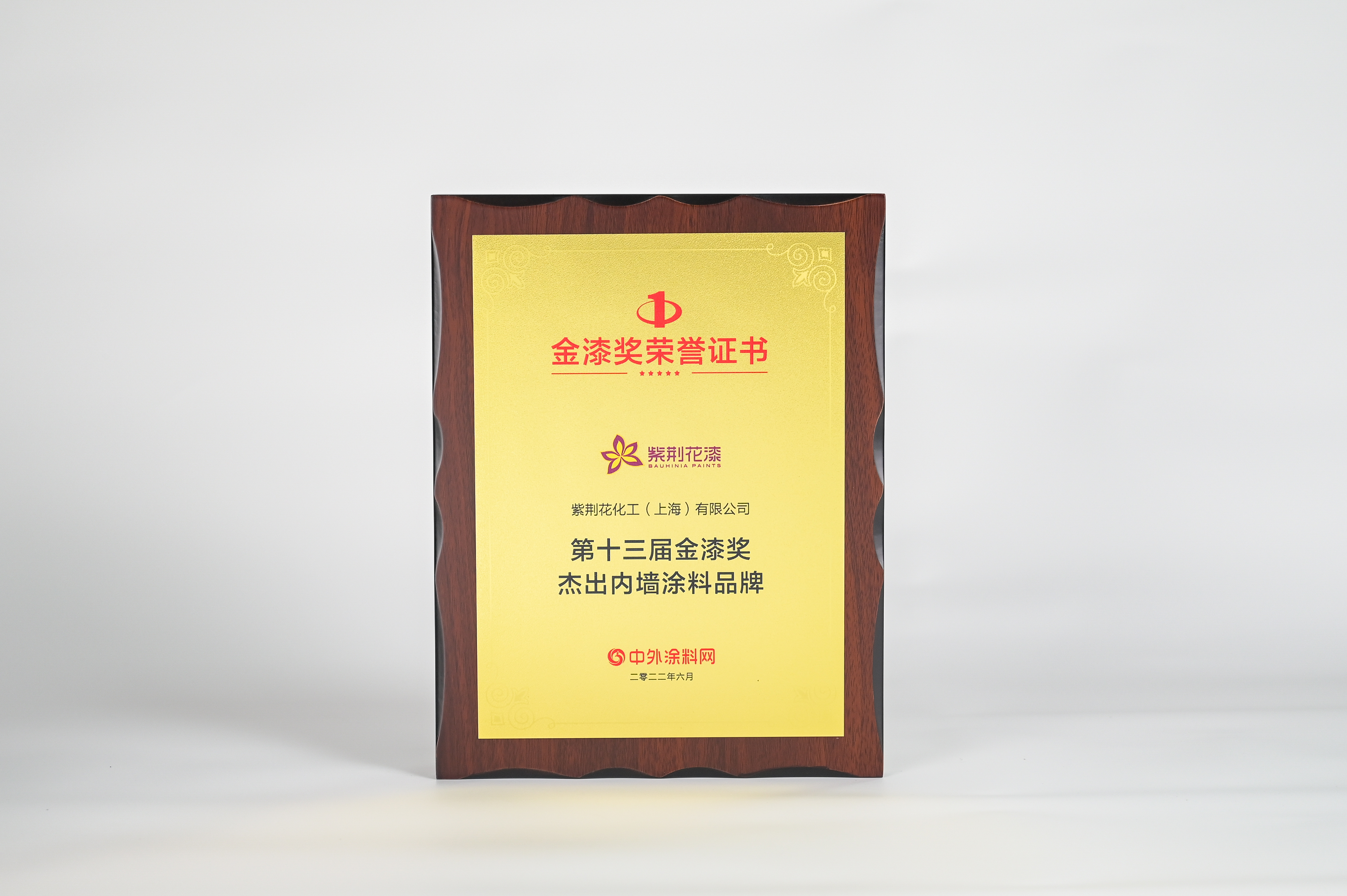 第十三届金漆奖杰出内墙蓝颜
品牌.jpg